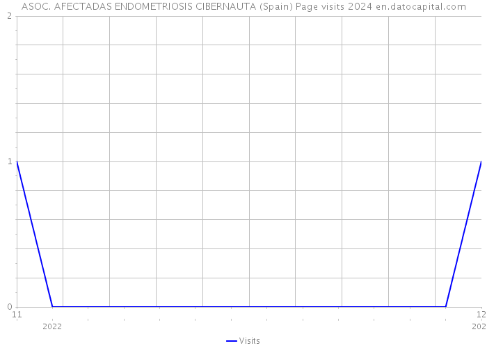 ASOC. AFECTADAS ENDOMETRIOSIS CIBERNAUTA (Spain) Page visits 2024 