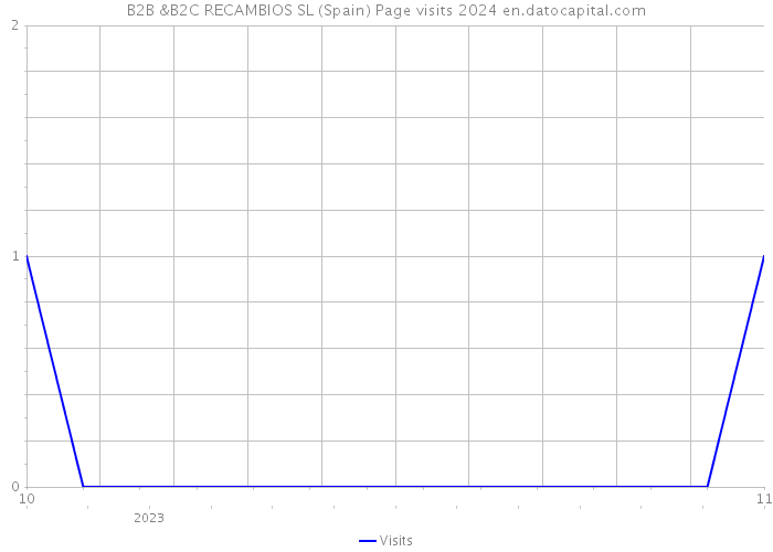 B2B &B2C RECAMBIOS SL (Spain) Page visits 2024 