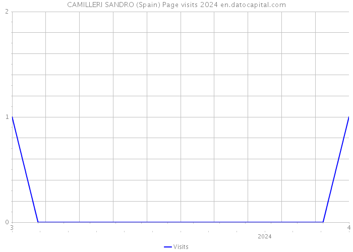 CAMILLERI SANDRO (Spain) Page visits 2024 