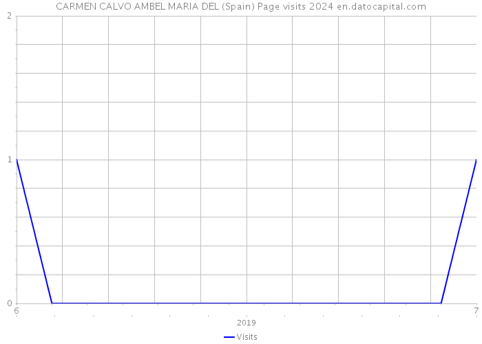 CARMEN CALVO AMBEL MARIA DEL (Spain) Page visits 2024 