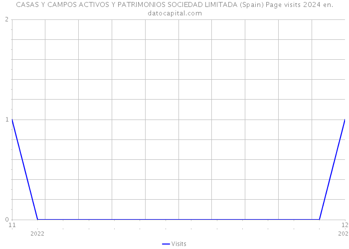 CASAS Y CAMPOS ACTIVOS Y PATRIMONIOS SOCIEDAD LIMITADA (Spain) Page visits 2024 