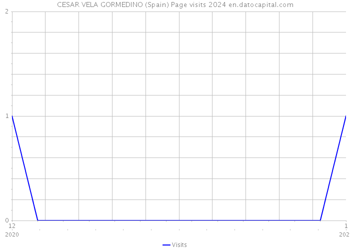 CESAR VELA GORMEDINO (Spain) Page visits 2024 