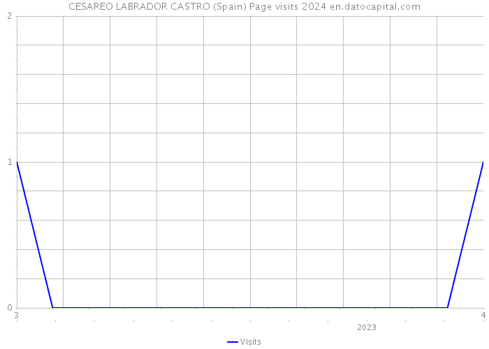 CESAREO LABRADOR CASTRO (Spain) Page visits 2024 