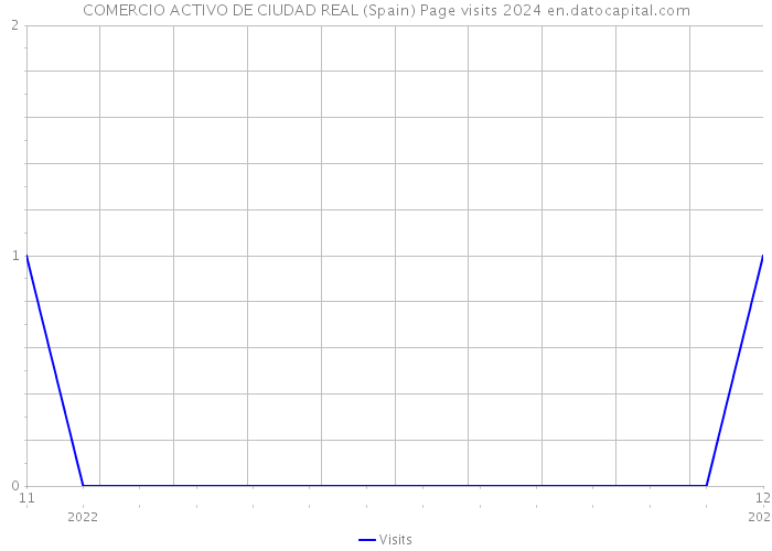 COMERCIO ACTIVO DE CIUDAD REAL (Spain) Page visits 2024 