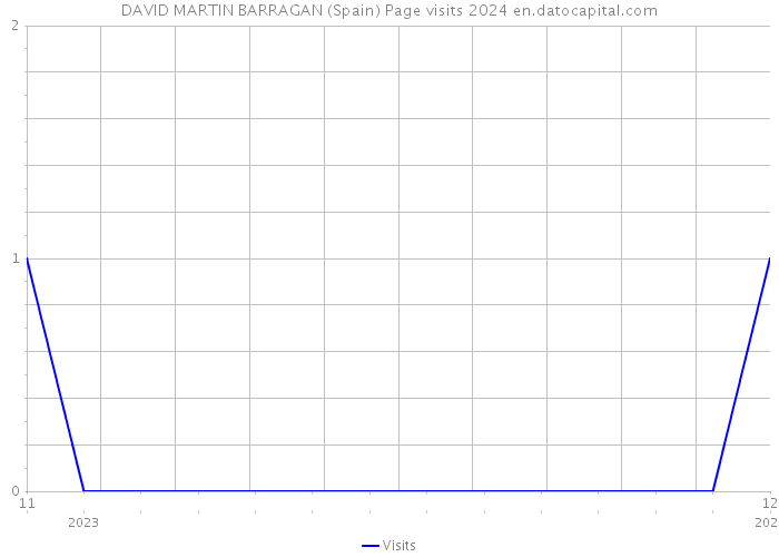 DAVID MARTIN BARRAGAN (Spain) Page visits 2024 