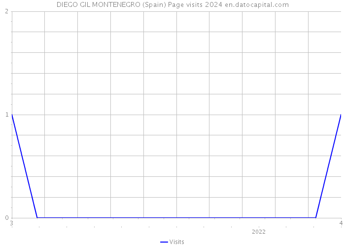DIEGO GIL MONTENEGRO (Spain) Page visits 2024 