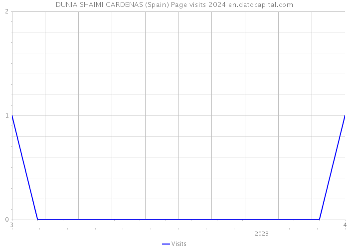 DUNIA SHAIMI CARDENAS (Spain) Page visits 2024 