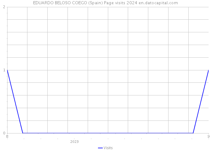 EDUARDO BELOSO COEGO (Spain) Page visits 2024 