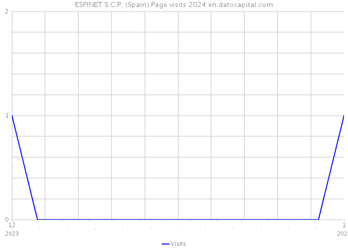 ESPINET S.C.P. (Spain) Page visits 2024 