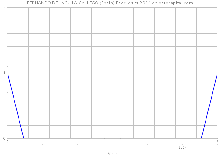 FERNANDO DEL AGUILA GALLEGO (Spain) Page visits 2024 
