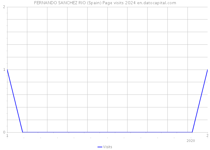 FERNANDO SANCHEZ RIO (Spain) Page visits 2024 
