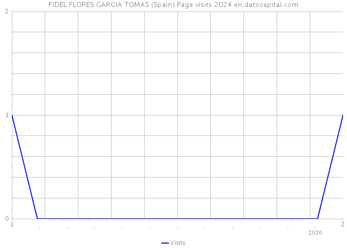 FIDEL FLORES GARCIA TOMAS (Spain) Page visits 2024 