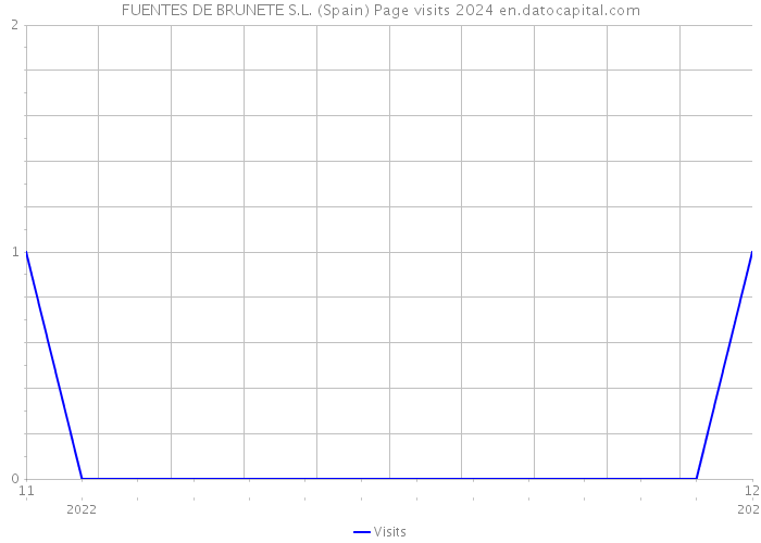 FUENTES DE BRUNETE S.L. (Spain) Page visits 2024 