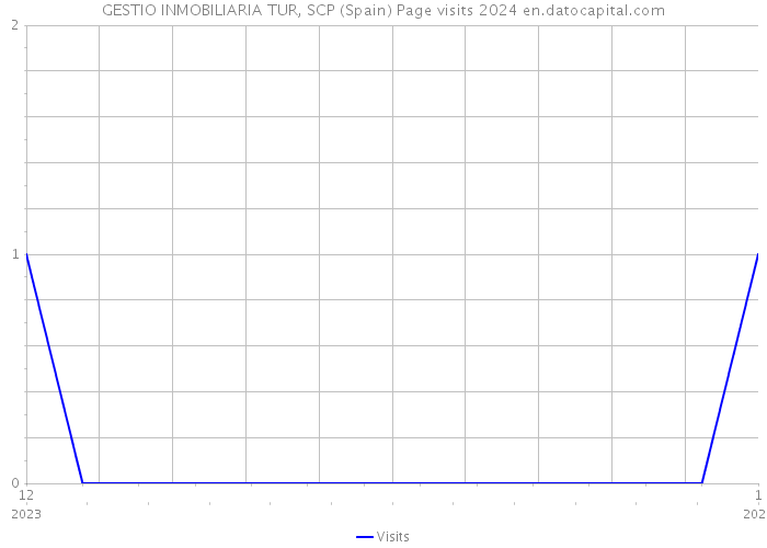 GESTIO INMOBILIARIA TUR, SCP (Spain) Page visits 2024 