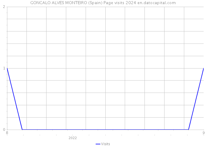 GONCALO ALVES MONTEIRO (Spain) Page visits 2024 