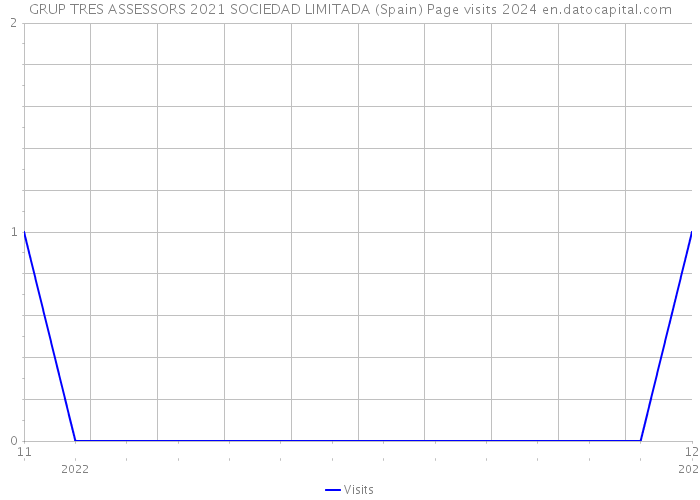 GRUP TRES ASSESSORS 2021 SOCIEDAD LIMITADA (Spain) Page visits 2024 