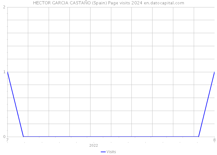 HECTOR GARCIA CASTAÑO (Spain) Page visits 2024 