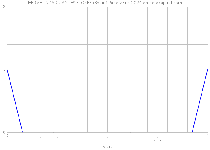HERMELINDA GUANTES FLORES (Spain) Page visits 2024 