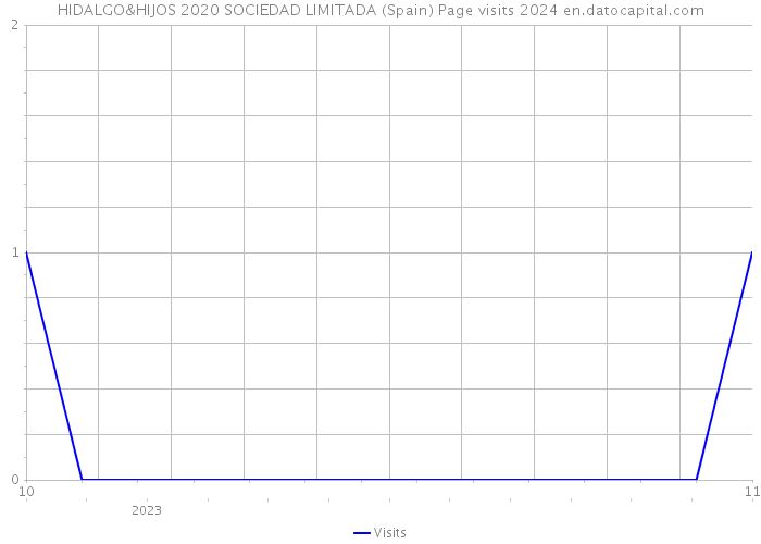 HIDALGO&HIJOS 2020 SOCIEDAD LIMITADA (Spain) Page visits 2024 