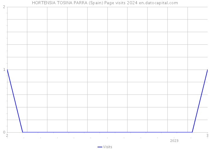 HORTENSIA TOSINA PARRA (Spain) Page visits 2024 