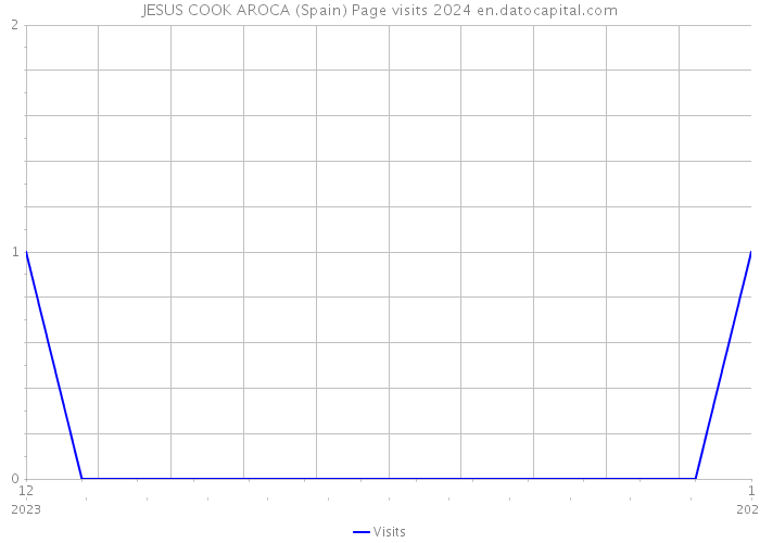 JESUS COOK AROCA (Spain) Page visits 2024 