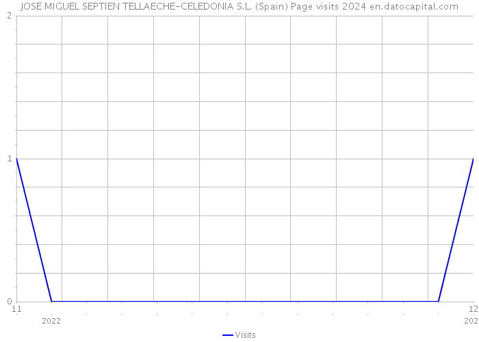 JOSE MIGUEL SEPTIEN TELLAECHE-CELEDONIA S.L. (Spain) Page visits 2024 