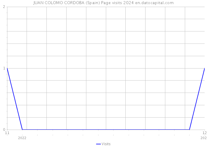 JUAN COLOMO CORDOBA (Spain) Page visits 2024 