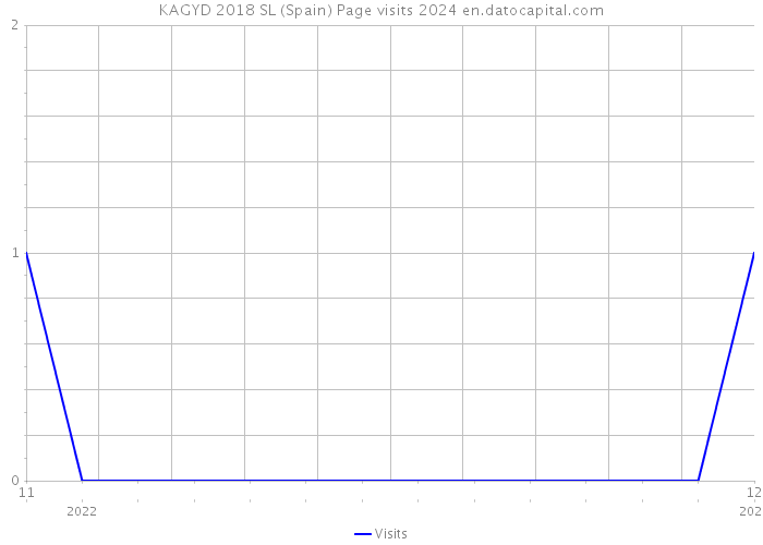 KAGYD 2018 SL (Spain) Page visits 2024 