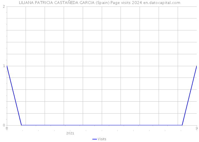 LILIANA PATRICIA CASTAÑEDA GARCIA (Spain) Page visits 2024 