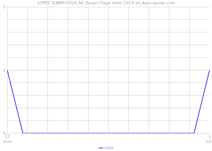 LOPEZ SUBERVIOLA SA (Spain) Page visits 2024 