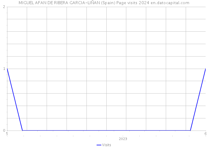 MIGUEL AFAN DE RIBERA GARCIA-LIÑAN (Spain) Page visits 2024 