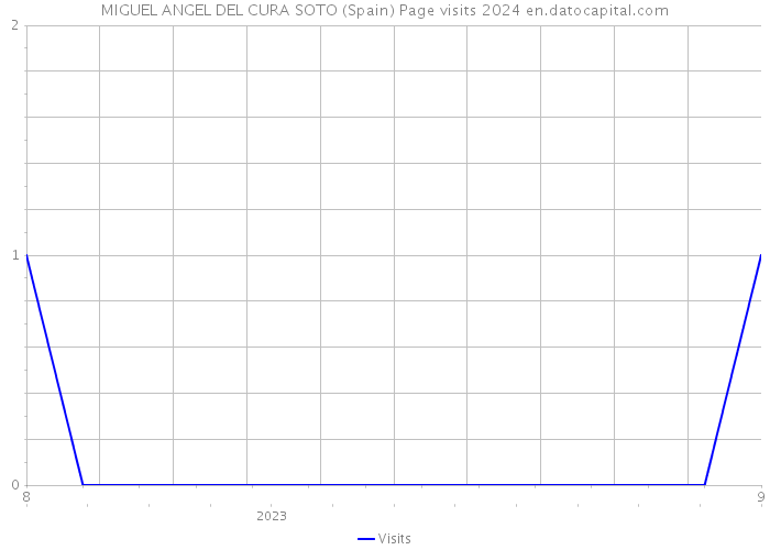 MIGUEL ANGEL DEL CURA SOTO (Spain) Page visits 2024 