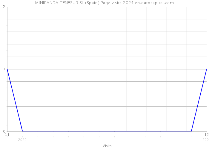 MINIPANDA TENESUR SL (Spain) Page visits 2024 