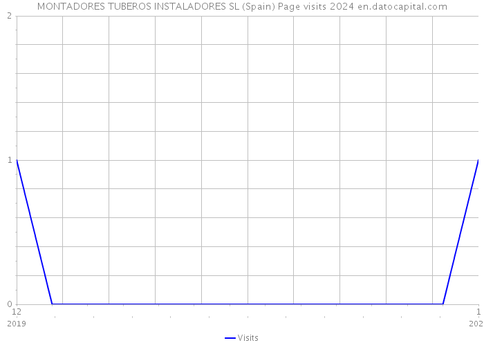 MONTADORES TUBEROS INSTALADORES SL (Spain) Page visits 2024 