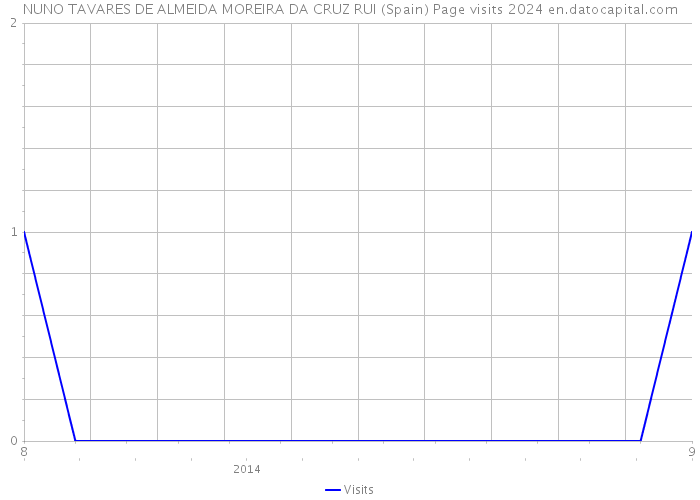 NUNO TAVARES DE ALMEIDA MOREIRA DA CRUZ RUI (Spain) Page visits 2024 