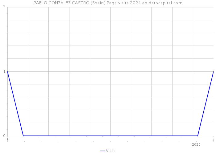 PABLO GONZALEZ CASTRO (Spain) Page visits 2024 