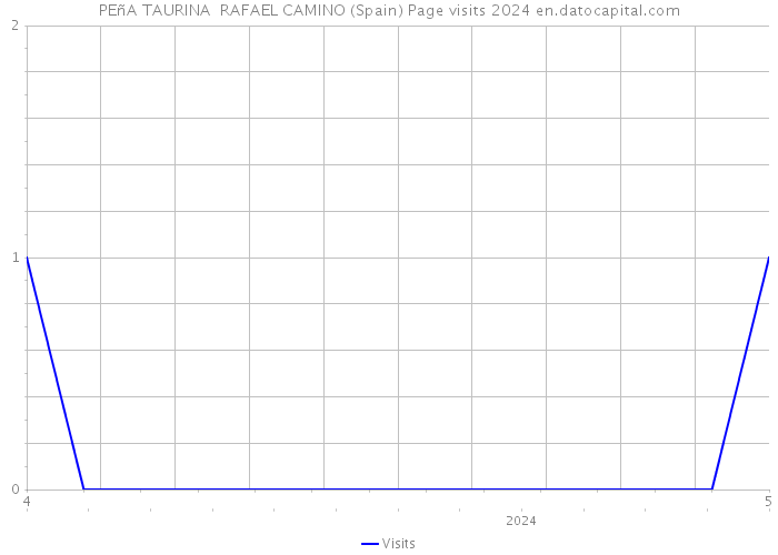 PEñA TAURINA RAFAEL CAMINO (Spain) Page visits 2024 