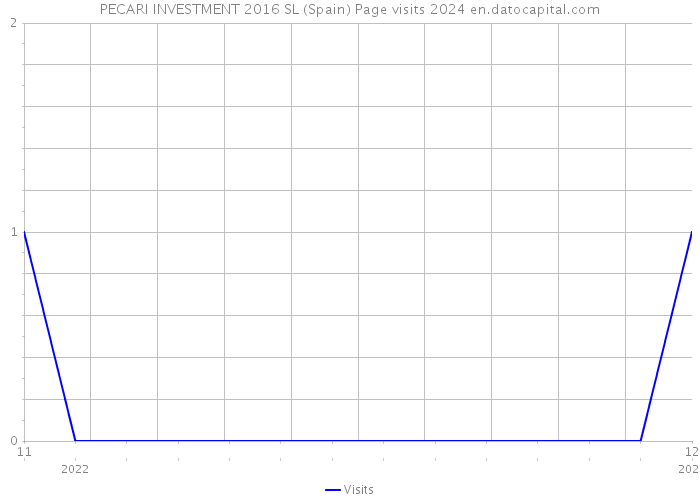 PECARI INVESTMENT 2016 SL (Spain) Page visits 2024 