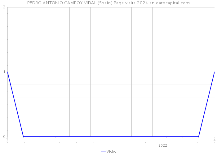 PEDRO ANTONIO CAMPOY VIDAL (Spain) Page visits 2024 