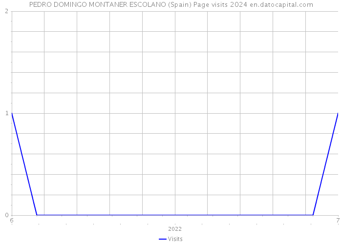 PEDRO DOMINGO MONTANER ESCOLANO (Spain) Page visits 2024 