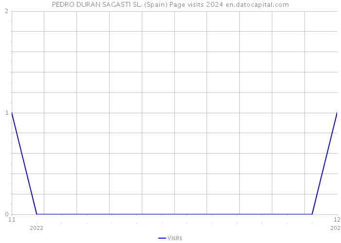 PEDRO DURAN SAGASTI SL. (Spain) Page visits 2024 