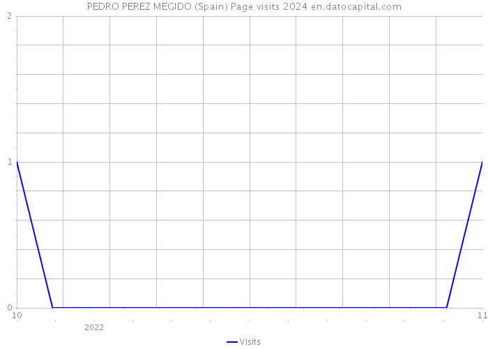 PEDRO PEREZ MEGIDO (Spain) Page visits 2024 
