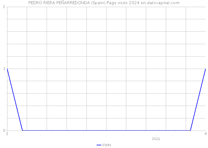 PEDRO RIERA PEÑARREDONDA (Spain) Page visits 2024 