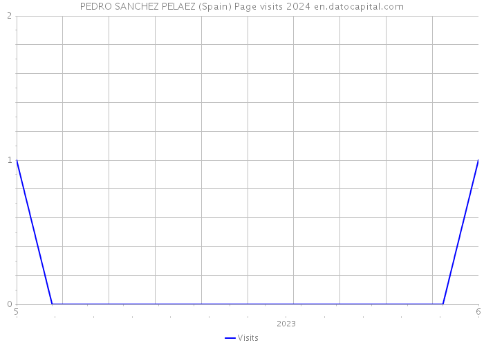PEDRO SANCHEZ PELAEZ (Spain) Page visits 2024 