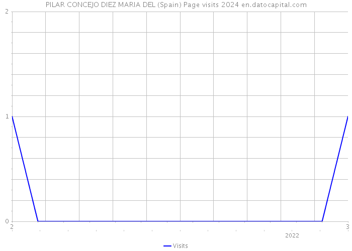 PILAR CONCEJO DIEZ MARIA DEL (Spain) Page visits 2024 