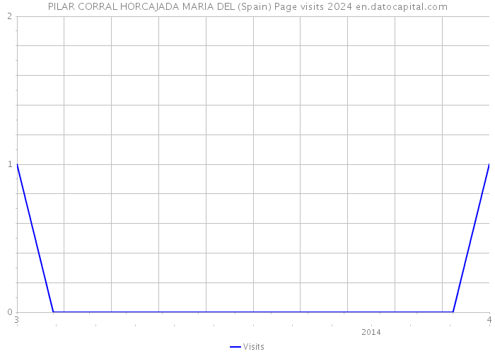 PILAR CORRAL HORCAJADA MARIA DEL (Spain) Page visits 2024 