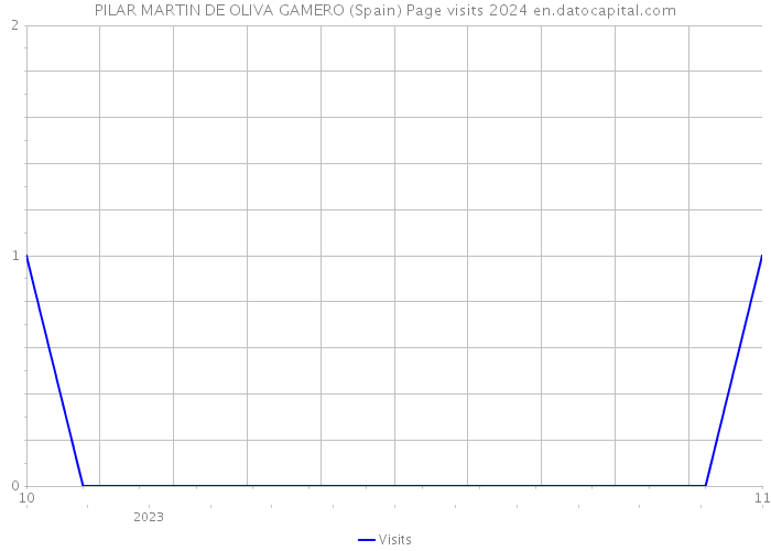 PILAR MARTIN DE OLIVA GAMERO (Spain) Page visits 2024 