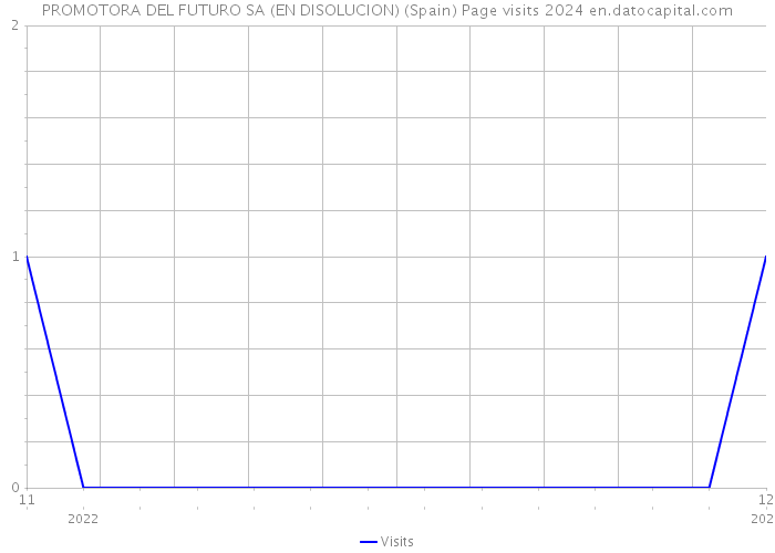 PROMOTORA DEL FUTURO SA (EN DISOLUCION) (Spain) Page visits 2024 