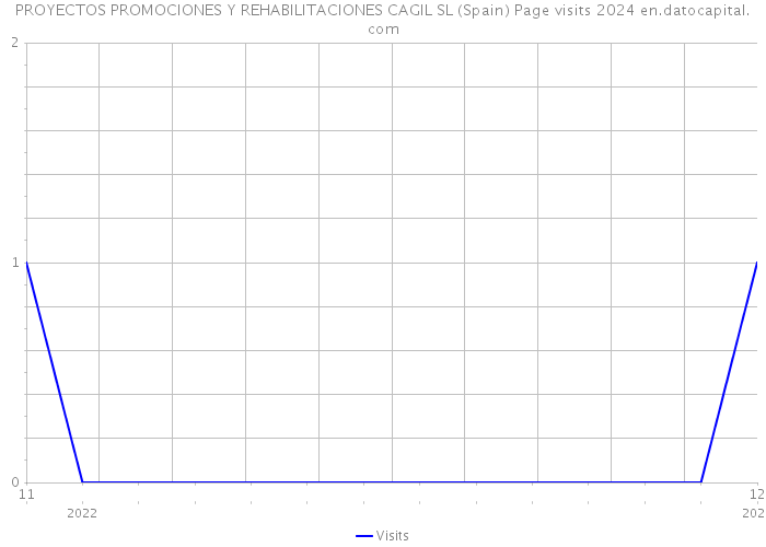 PROYECTOS PROMOCIONES Y REHABILITACIONES CAGIL SL (Spain) Page visits 2024 