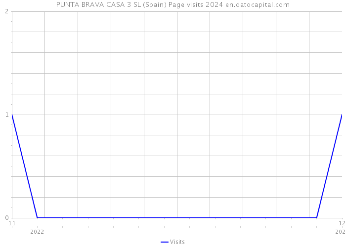 PUNTA BRAVA CASA 3 SL (Spain) Page visits 2024 